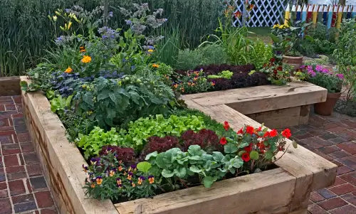 10 Raised Garden Beds ideas Visit TN Nursery - TN Nursery