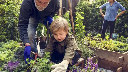 10 tips of Alfresco Entertaining this summer - TN Nursery