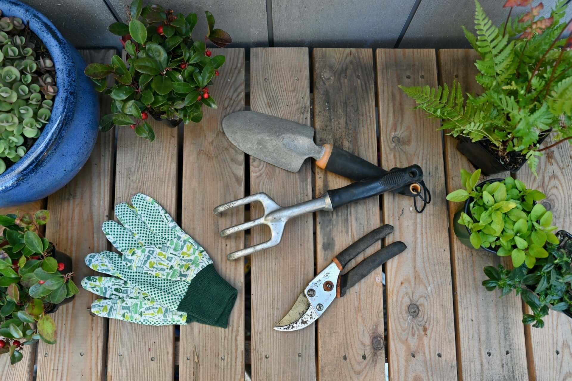 Essential garden tools: trowel, fork, pruning shears with black handles