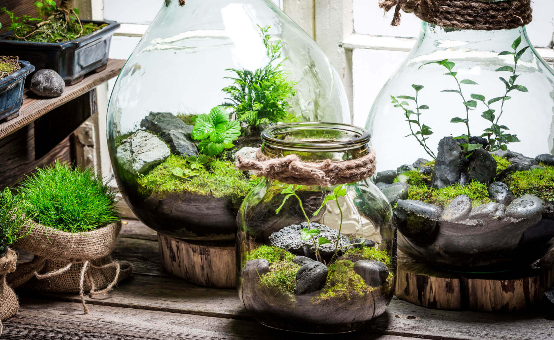 Clear glass jar with twine tie, mossy greenery and gray stones in lush miniature ecosystem