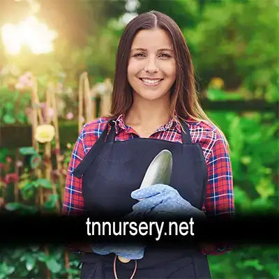 Woman in black apron and blue gloves holds silver trowel from TN Nursery