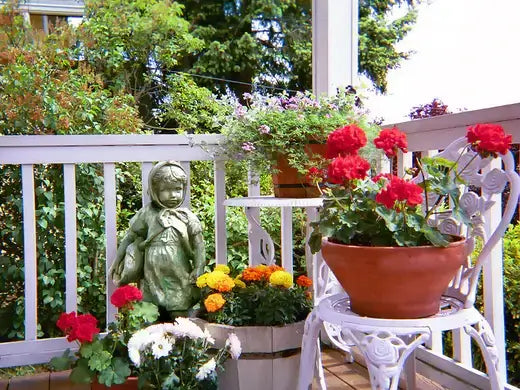 Terracotta pot of red geraniums on white wrought iron chair in TN Nursery patio design