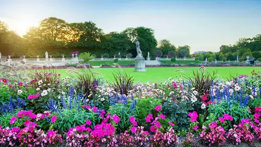 Vibrant meadowscaping garden bed with pink, purple, white flowers blooming