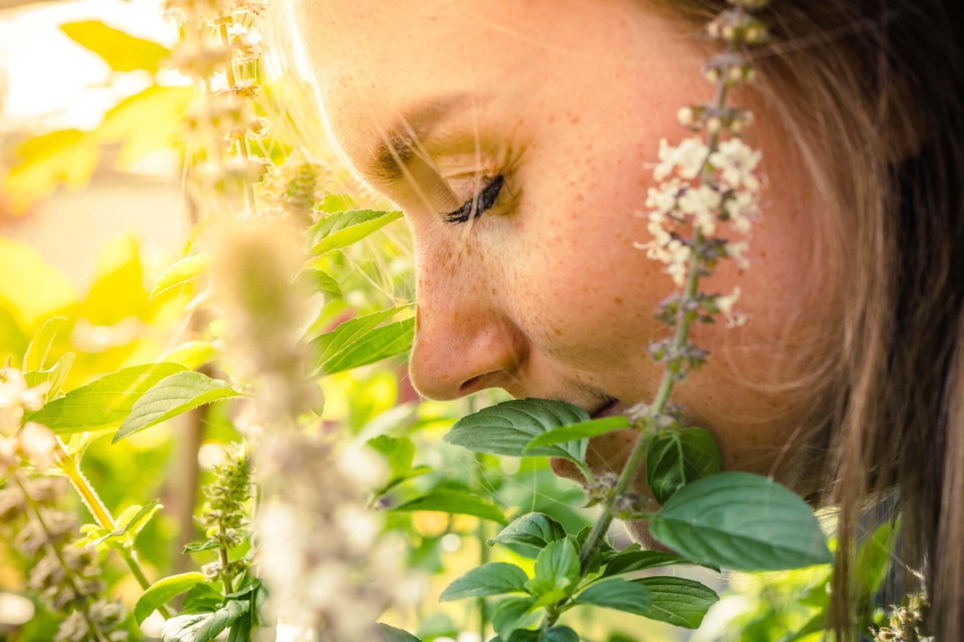 Woman with freckles sniffs white-flowered basil while growing herbs
