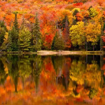 Vibrant autumn forest reflected in mirror-like lake for fall foliage