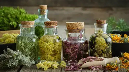 Five corked glass bottles of colorful dried herbaceous medicinal herbs