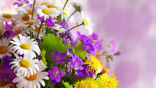 Vibrant wildflower bouquet with daisies for growing your bouquets