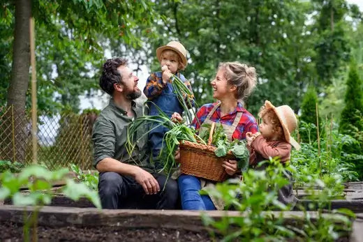 Woven wicker basket of fresh green vegetables and leafy greens
