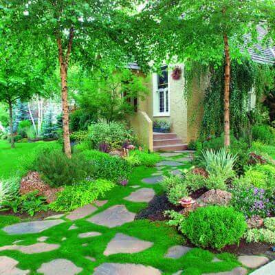 Lush mossy garden path of irregular flat stones in shaded garden