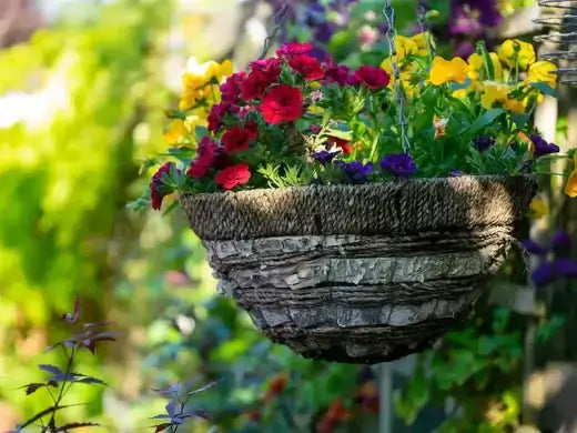 Rustic woven hanging basket planter for perennials