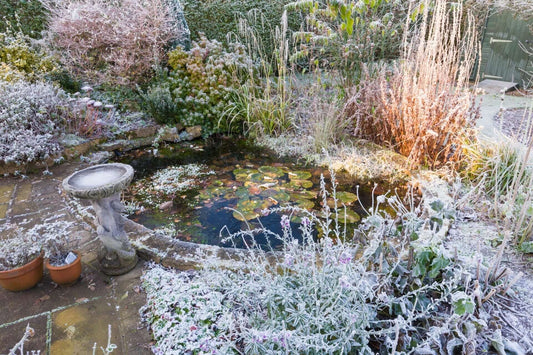 Frost-covered stone birdbath with classical base in garden freeze
