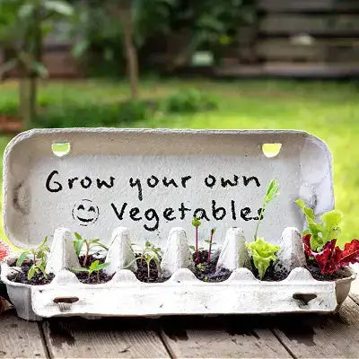 White egg carton repurposed as seedling planter with grow your own vegetables label and sprouts
