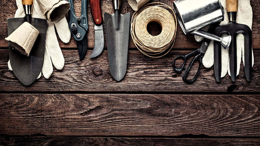 Essential beginner gardening tools: trowels, pruners, fork, scissors, gloves