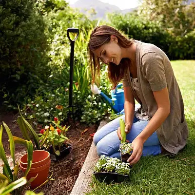 Woman in beige cardigan and jeans kneeling to grow fruits and vegetables