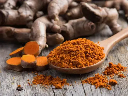 Turmeric powder in wooden spoon with roots for herbal supplements
