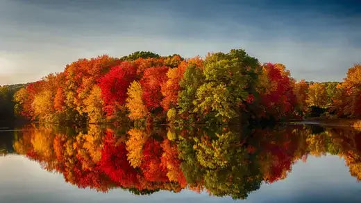 Vibrant fall foliage in autumn forest reflected in glassy lake