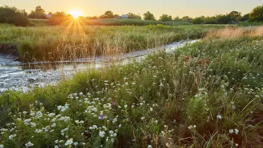 5 Nature-Filled Attractions in Tennessee - TN Nursery