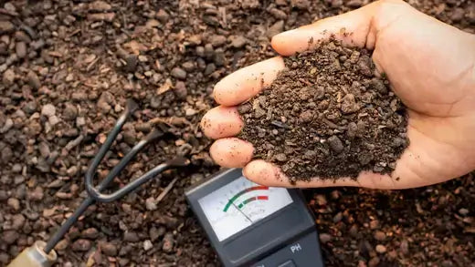 Hand holding dark brown crumbly soil with organic matter in gardening science