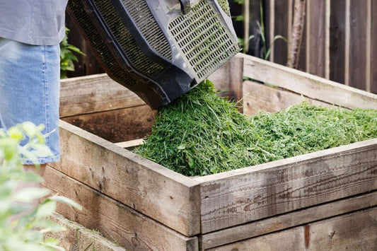 Black plastic compost bin with grated lid full of green plant matter