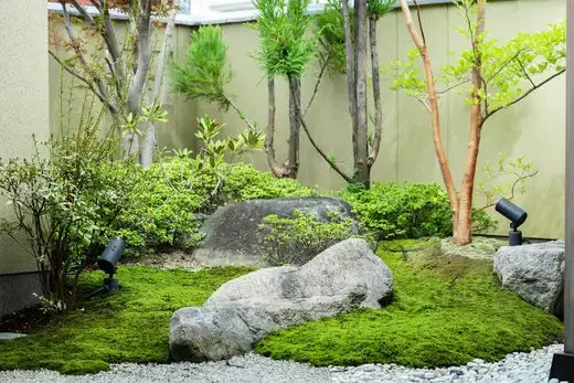 Gray rocks in vibrant moss as grass alternative in Japanese garden