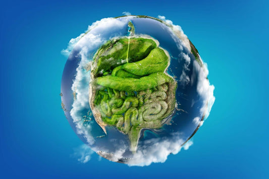 Surreal globe with green brain-shaped landmass in plant anatomy diagram