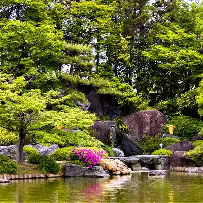 Serene Japanese garden pond for free landscaping upgrades