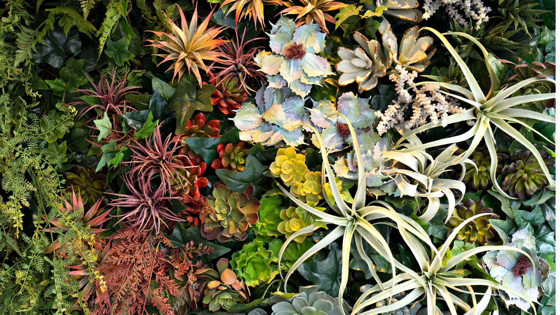 Vibrant wall of colorful artificial air plants and succulents