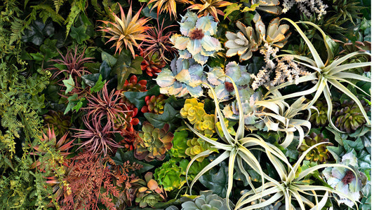 Vibrant wall of colorful artificial air plants and succulents