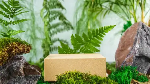 Beige rectangular moss display stand among green ferns and rocks - TN Nursery