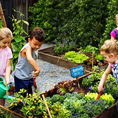 Children tending vibrant raised garden bed with lush greens and herbs