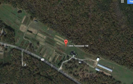 Satellite view of Tennessee nursery fields, roads and buildings