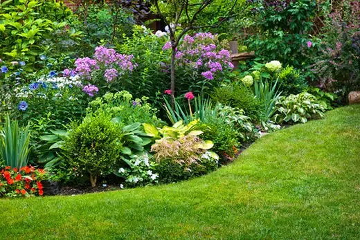 TN Nursery lush green lawn with vibrant purple red white flower garden bed