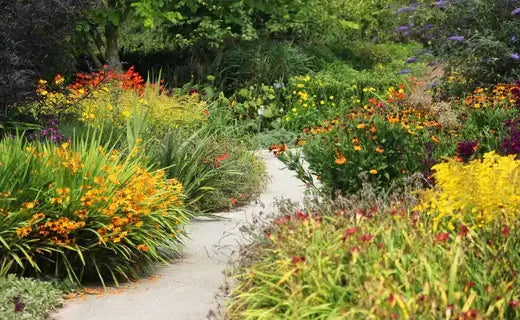 Winding stone path through perennial garden of colorful flowers and greenery