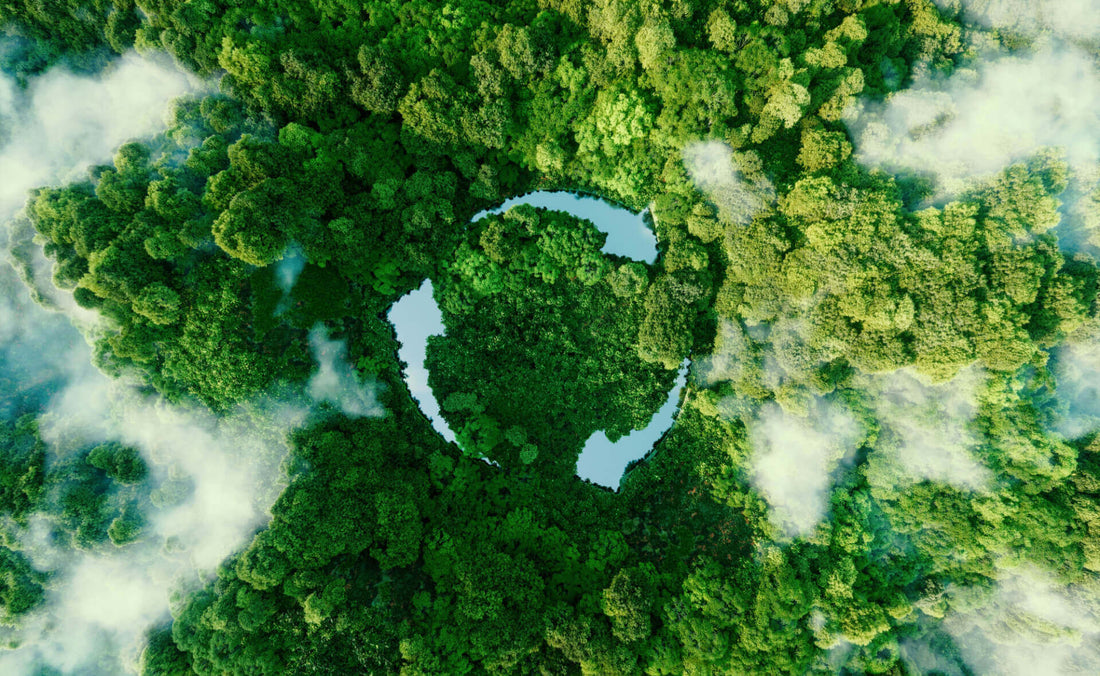 Sustainable emerald forest canopy rings serene winding river for landscaping