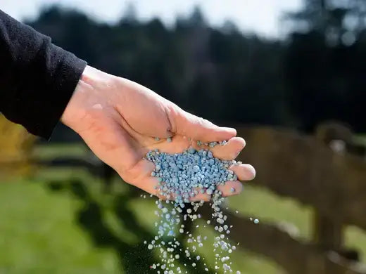 Hand holding cascade of blue granular lawn fertilizer pellets