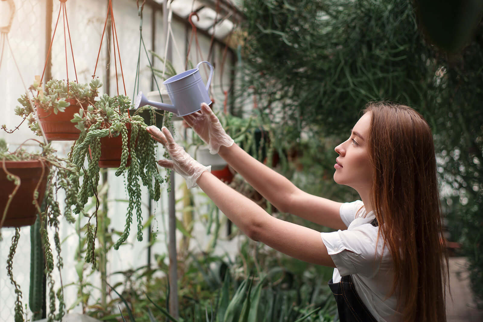 Light purple metal watering can for spring gardening oasis