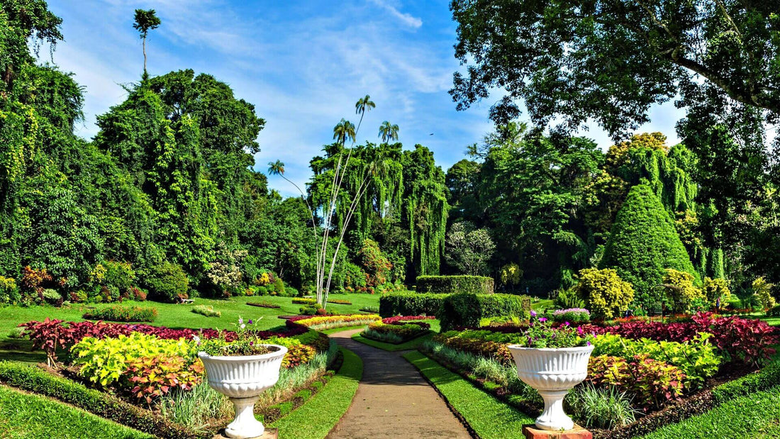 Symmetrical white ceramic urns with ornate detailing flank garden path for instant landscape appeal