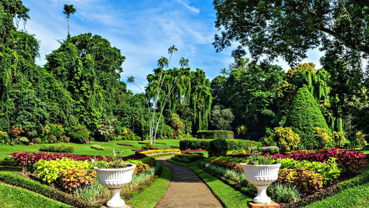 Symmetrical white ceramic urns with ornate detailing flank garden path for instant landscape appeal