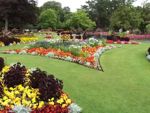 Vibrant curving perennial flower bed with yellow, red, purple, white blossoms