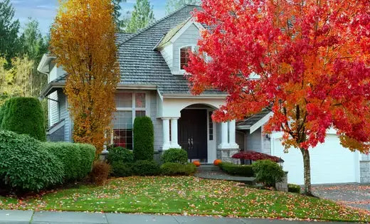 Charming two-story house with gray siding amid landscaping trees