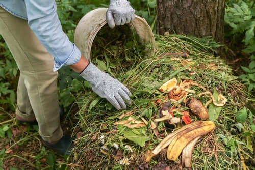 Gray gloves with textured fingertips handling compost for organic fertilizer in forest