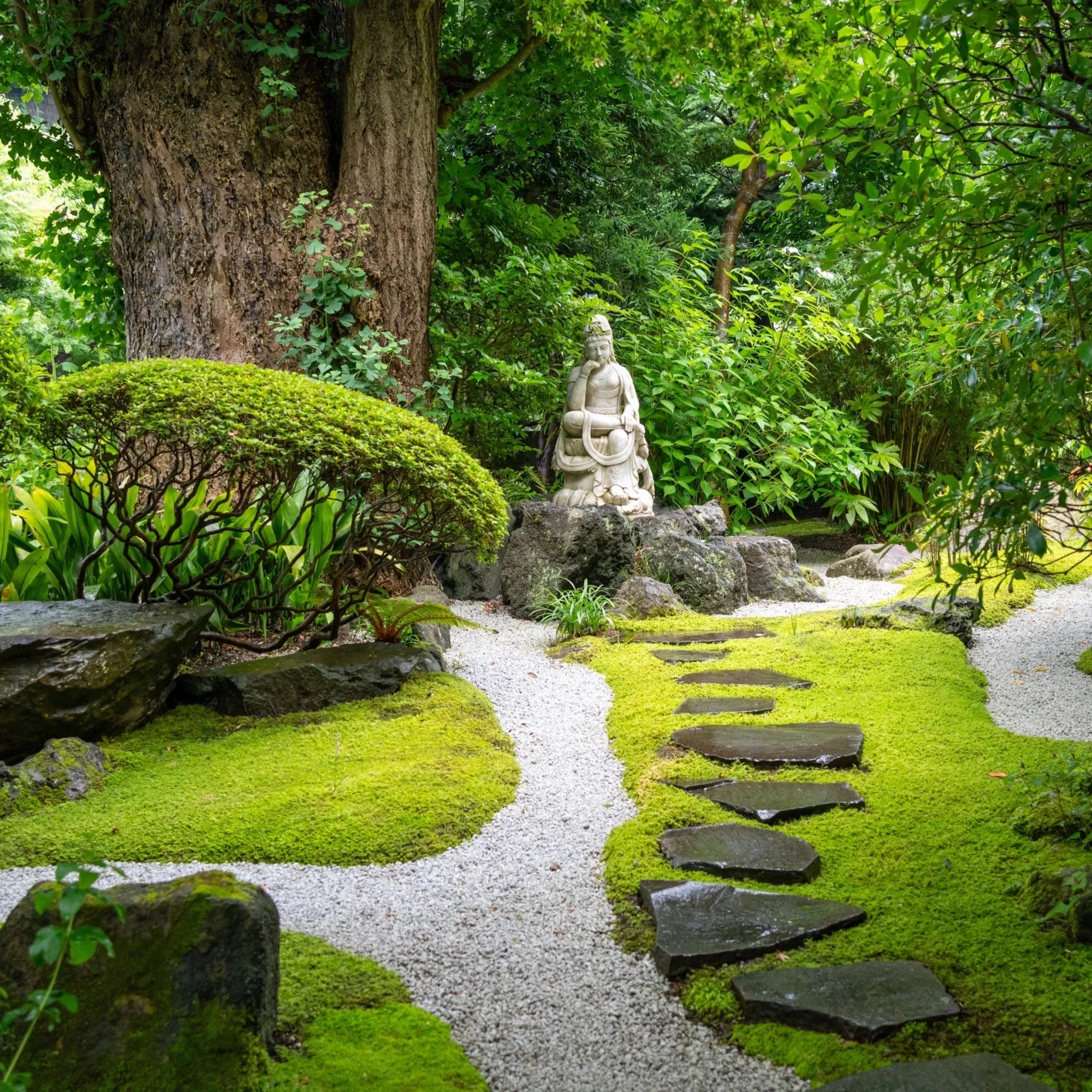The Hidden Benefits of Moss in Garden Landscapes