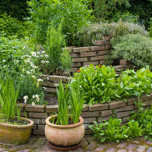 Complete Guide to Native Plants in the U.S.