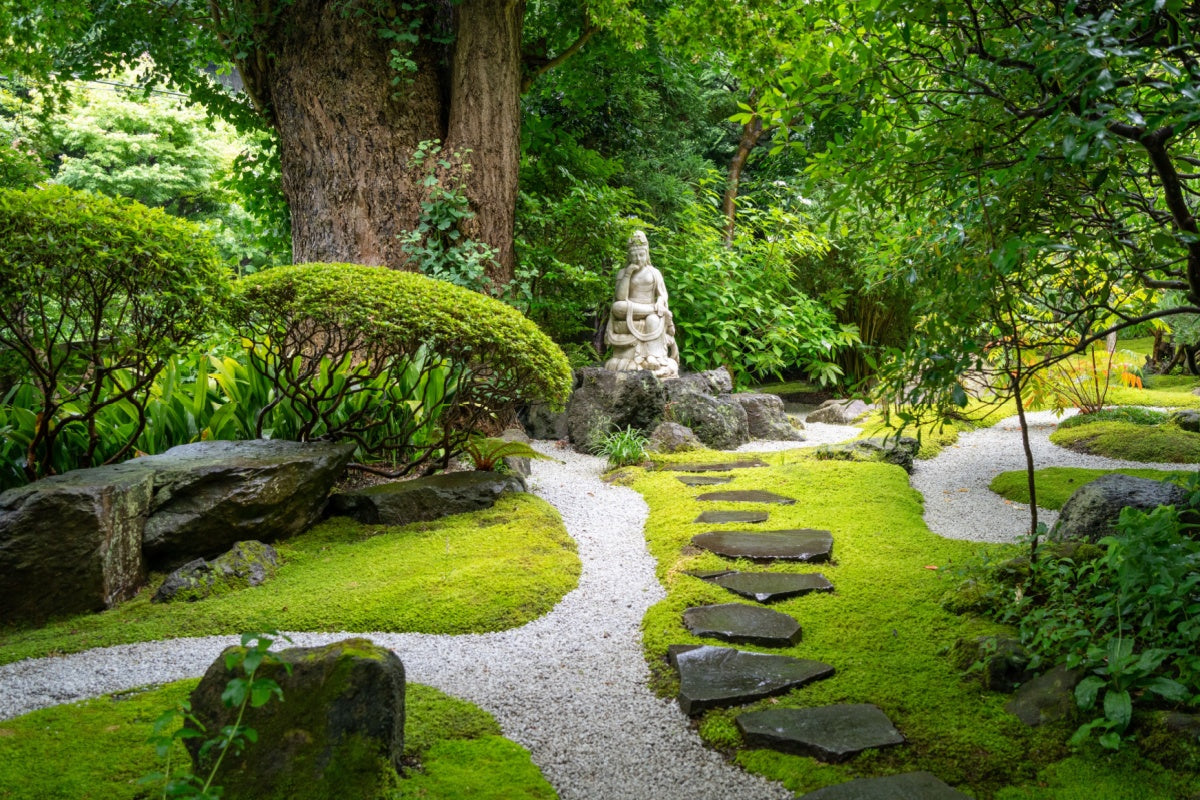 Serene stone Buddha statue in lush mossy Japanese garden from Tennessee nursery