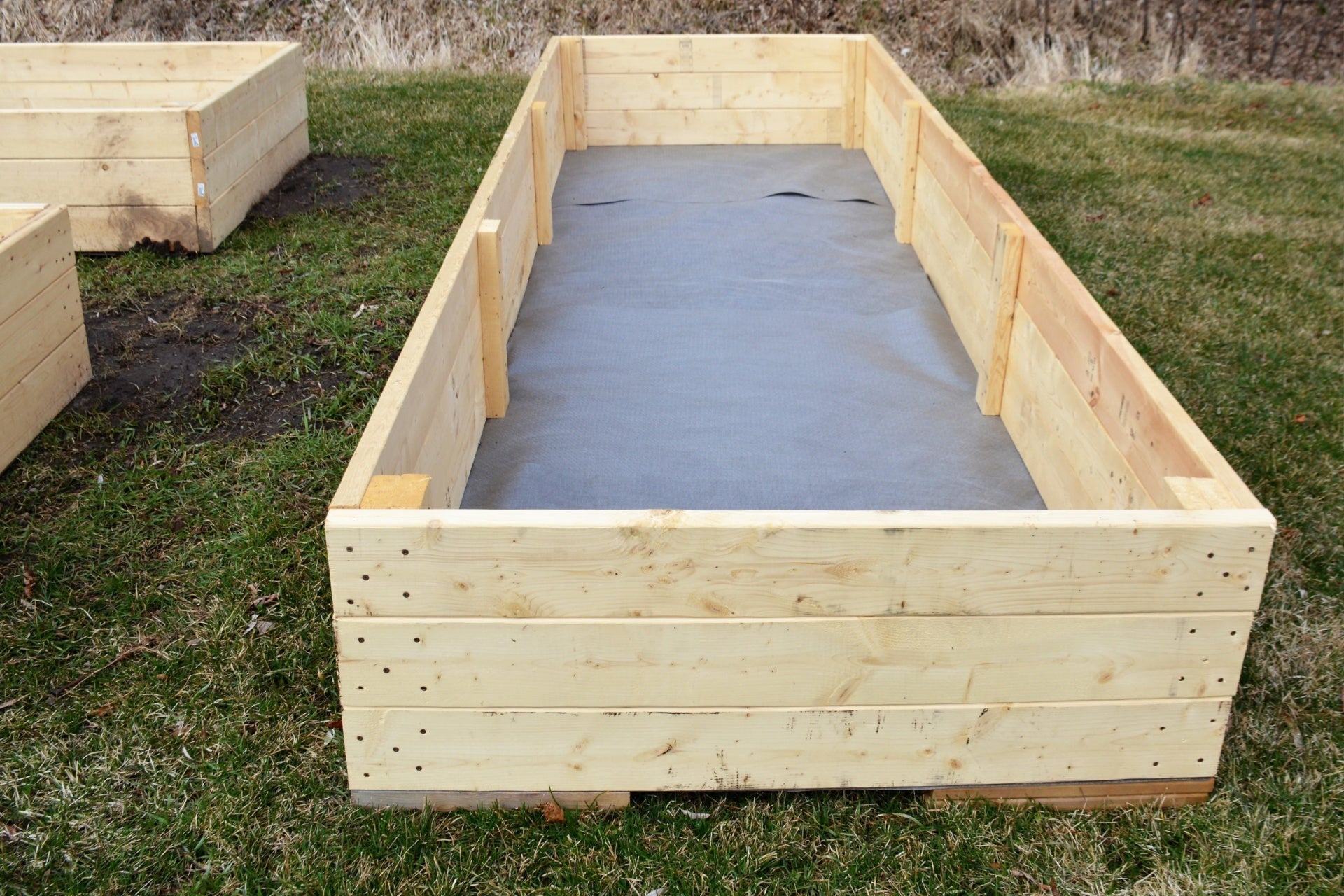 raised bed