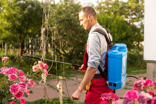 Blue plastic backpack sprayer with black handle for preventing spring plant diseases