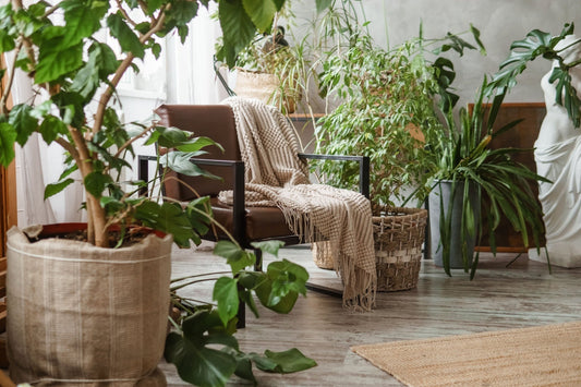 Brown leather armchair with beige knitted throw in green landscaping office