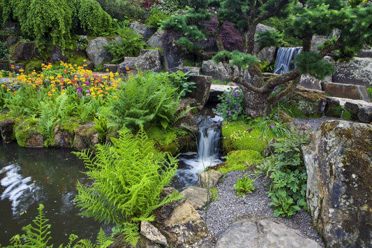 Serene Japanese garden with moss path, ferns, tulips, waterfalls for kids