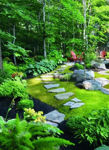 Serene moss garden path of gray stone slabs in lush landscaping