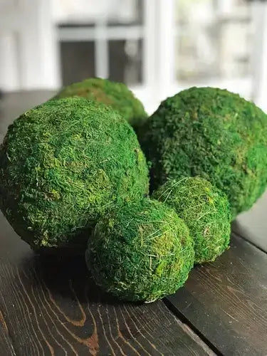 Trendy 2025 moss balls: green moss-covered decorative spheres